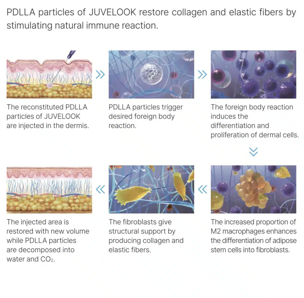 juvelook restore collagen