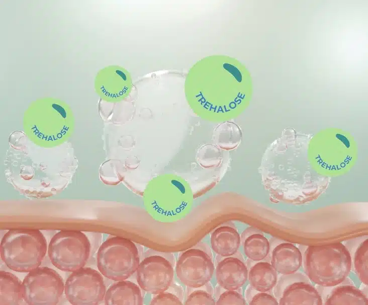 Trehalose for Skin Hydration Treatment